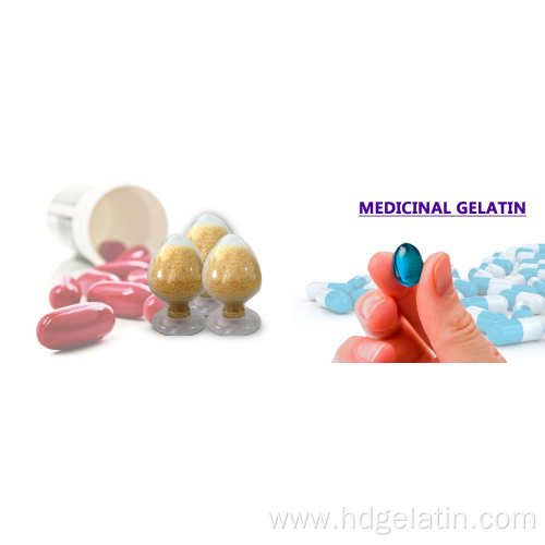 Pharmaceutical gelatin for oil soft